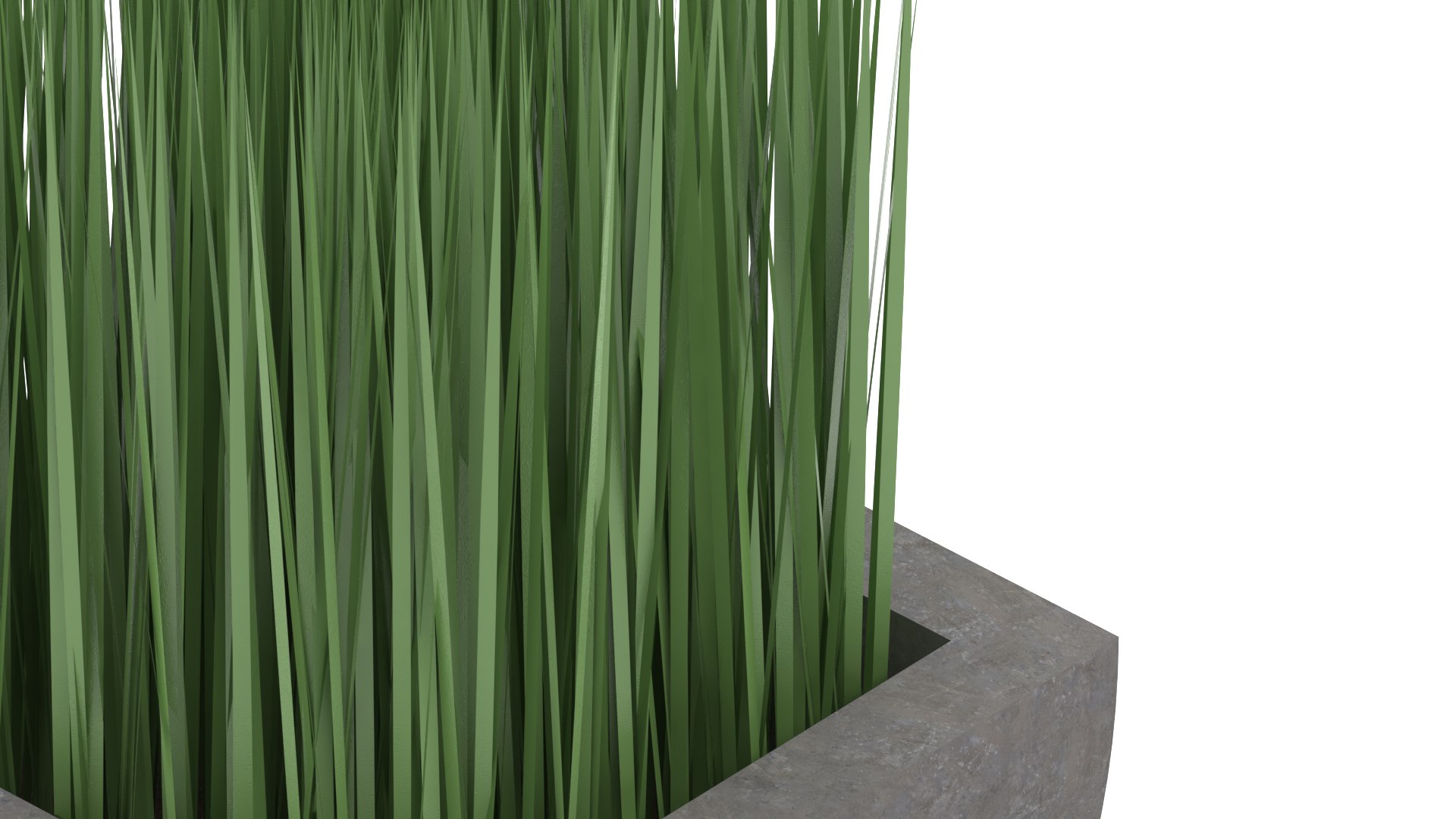 Potted grass 3D https://p.turbosquid.com/ts-thumb/6u/Jr0GPt/BP/1920x10804/png/1681844767/1920x1080/fit_q87/f506d5d642073ef9adf55071f0f3d8fe6f78650a/1920x10804.jpg
