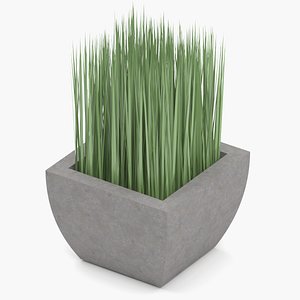 Potted grass 3D