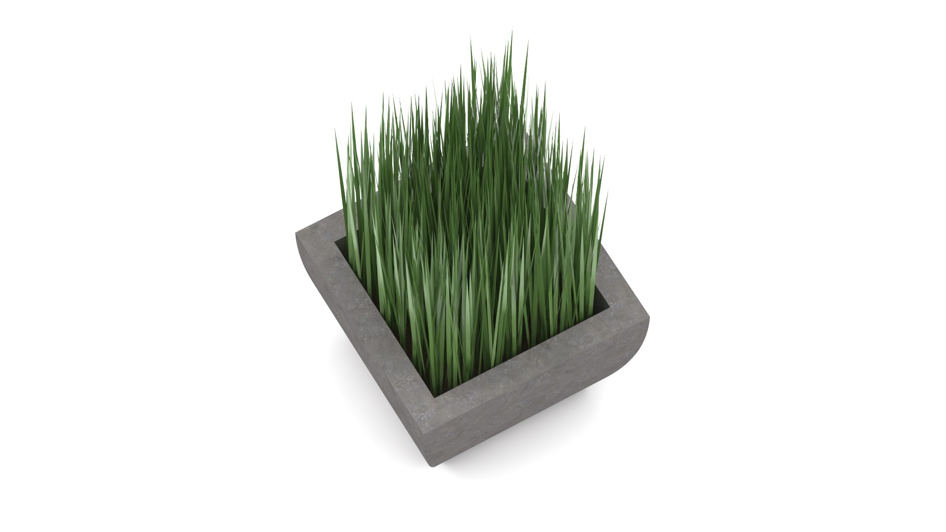 Potted grass 3D https://p.turbosquid.com/ts-thumb/6u/Jr0GPt/v3/1920x10805/png/1681844767/1920x1080/fit_q87/14d1049946ae8fd82a29a4cae0dfc1b914aaa751/1920x10805.jpg