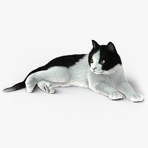 Cat (2) (B&W) (RIG) (FUR)