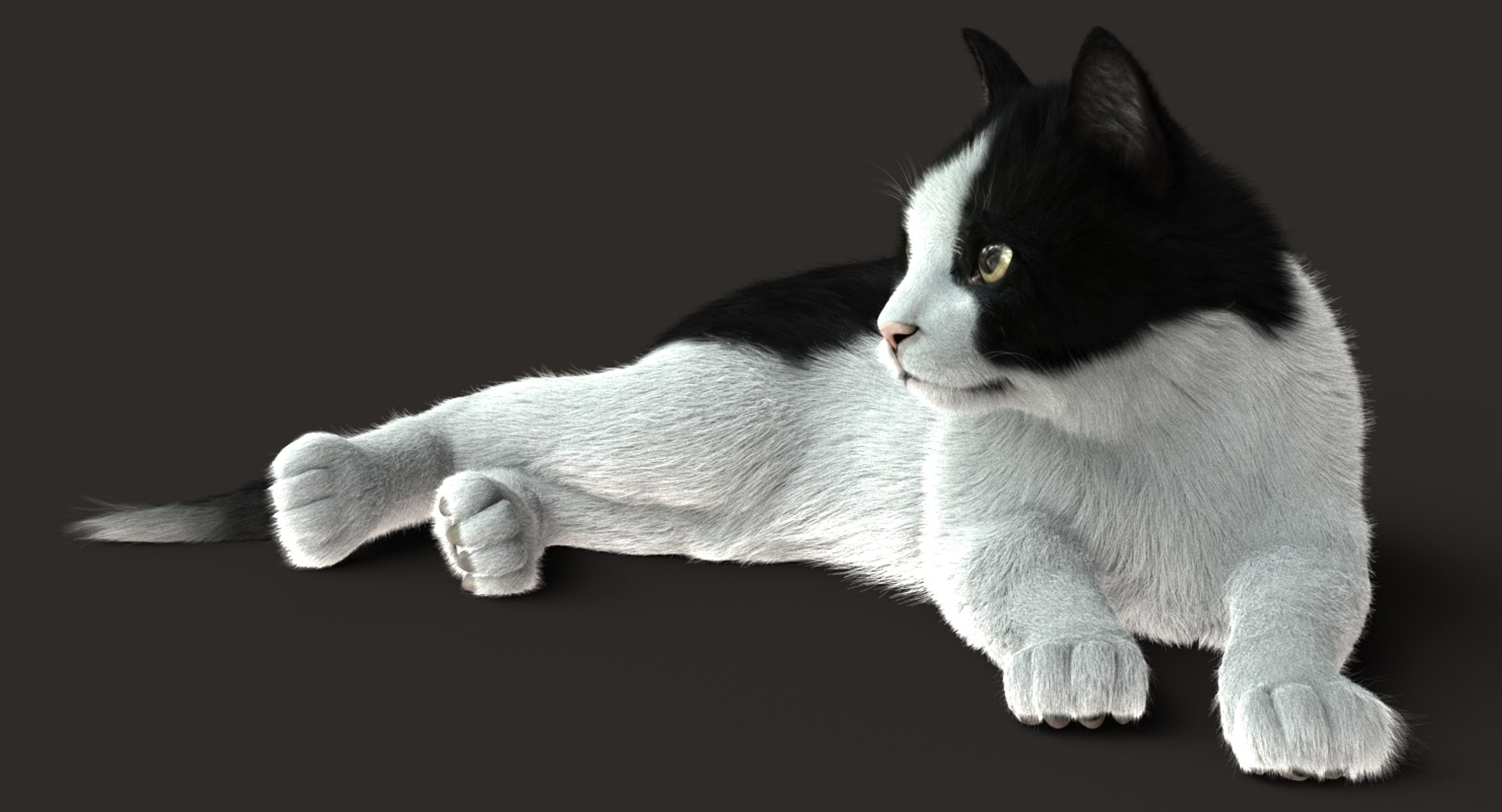 Cat Rigged Fur 2 3D Model - TurboSquid 1305316