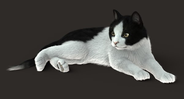 modelo 3d Cat (2) (B&W) (RIG) (FUR) - TurboSquid 1305316