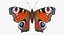 butterflies rigged 2 io 3D