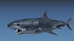 3d 3ds shark great white