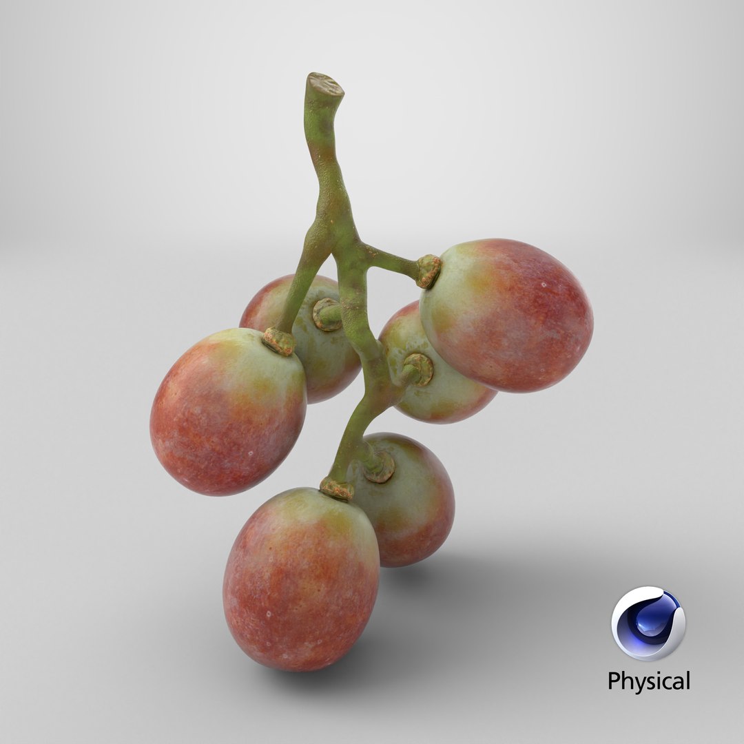 Small Bunch Grapes 2 model https://p.turbosquid.com/ts-thumb/6u/jgKDn8/25/stemcell_cinema_4d_physical_render/png/1779722377/1920x1080/fit_q87/e8423687d30a71bcbbf56d7904d22180c1e1410a/stemcell_cinema_4d_physical_render.jpg
