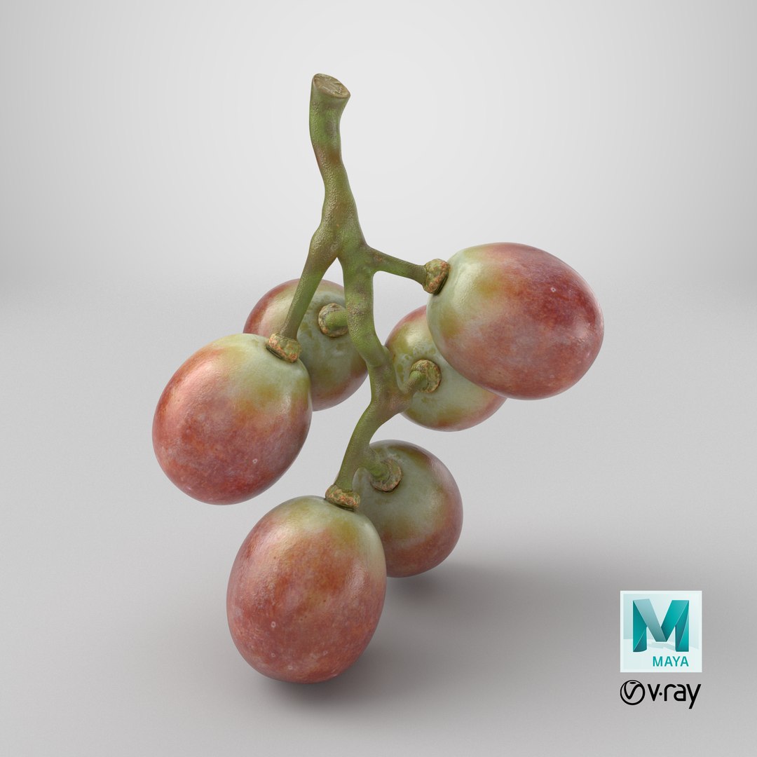 Small Bunch Grapes 2 model https://p.turbosquid.com/ts-thumb/6u/jgKDn8/CB/stemcell_maya_vray_render/png/1779722373/1920x1080/fit_q87/95c808f3924225fd081a557627229979cddfeab2/stemcell_maya_vray_render.jpg