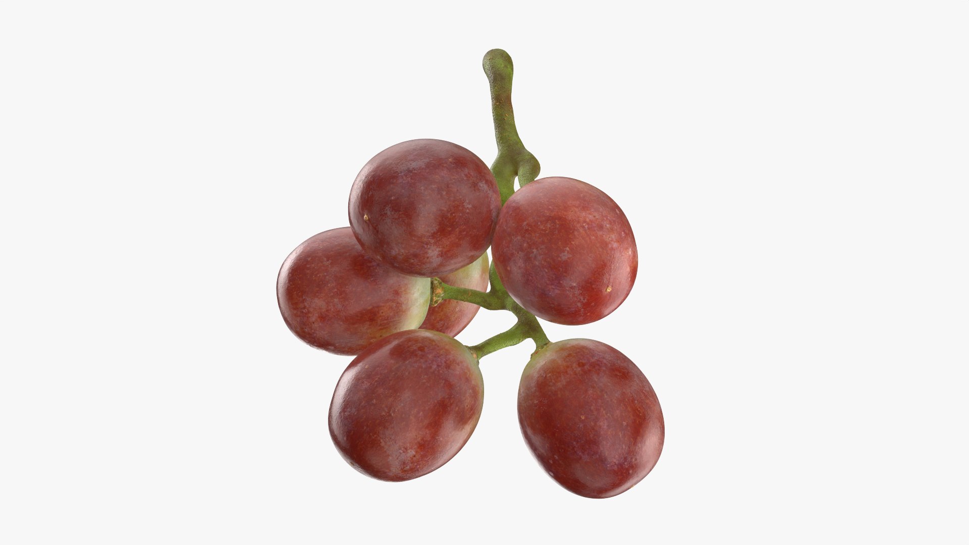 Small Bunch Grapes 2 model https://p.turbosquid.com/ts-thumb/6u/jgKDn8/KD/smbunchgrape2_0005/png/1778577948/1920x1080/fit_q87/8f2b577634ed4bc0fcfb6d13d17df5dbae6dc428/smbunchgrape2_0005.jpg