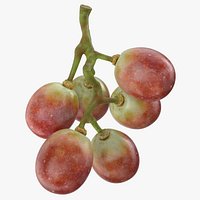 Small Bunch Grapes 2