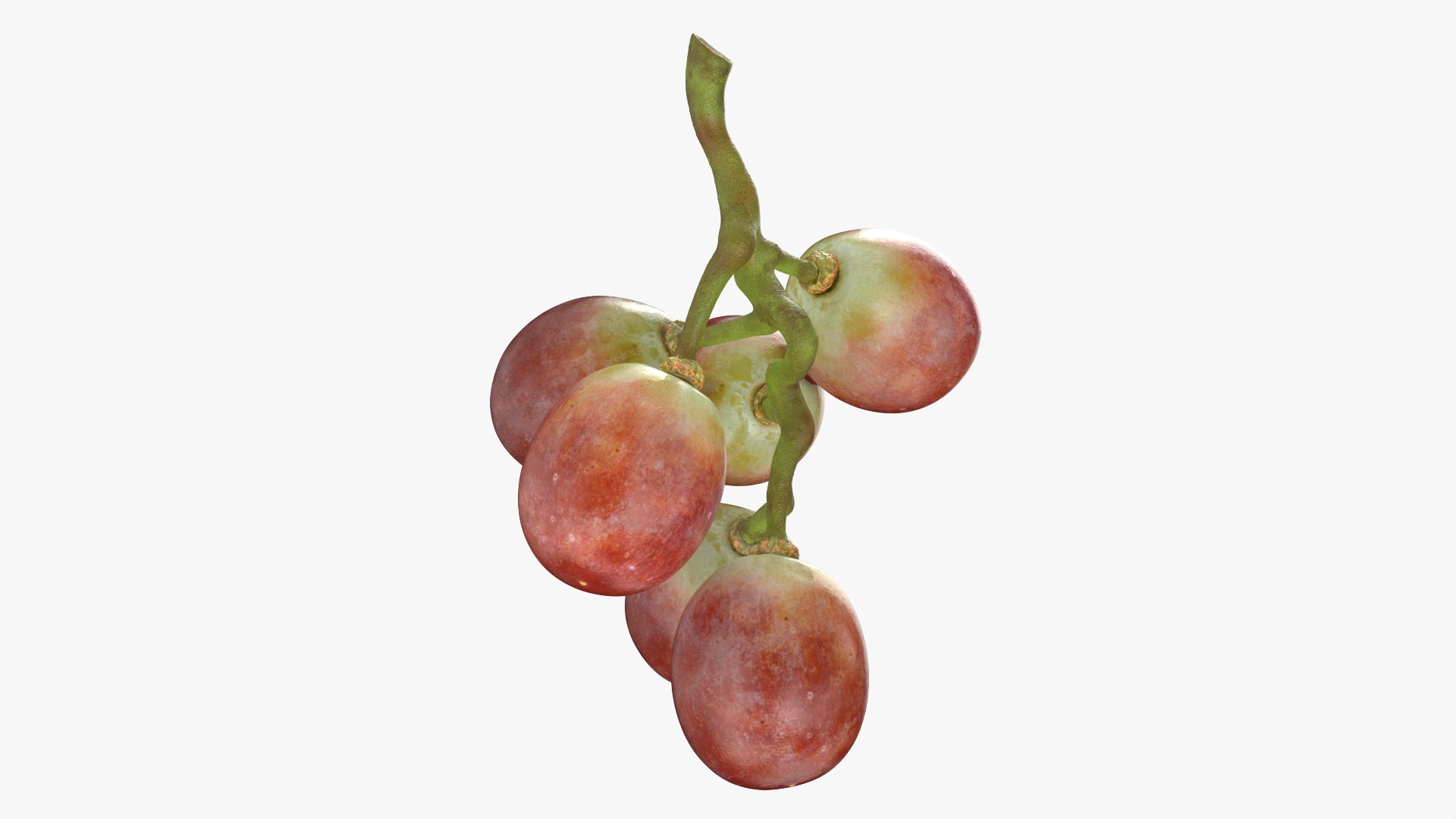 Small Bunch Grapes Collection 3D model https://p.turbosquid.com/ts-thumb/6u/jgKDn8/hk/smbunchgrape2_0001/png/1788527500/1920x1080/fit_q87/58f72d744508dd06be2a3e2b8a768dc23d4e05b1/smbunchgrape2_0001.jpg