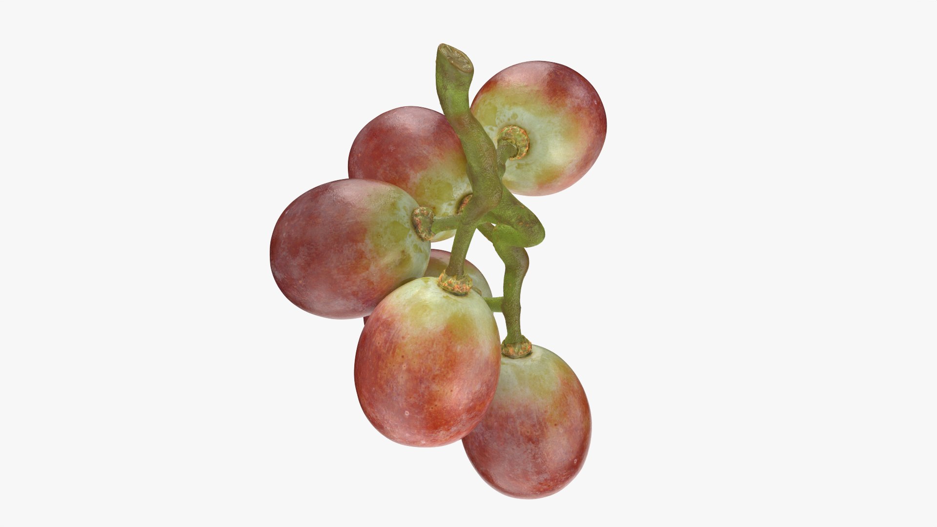 Small Bunch Grapes 2 model https://p.turbosquid.com/ts-thumb/6u/jgKDn8/kN/smbunchgrape2_0002/png/1778577944/1920x1080/fit_q87/973fe3531a50e686fe6c54ac02f28fbae2939ccd/smbunchgrape2_0002.jpg