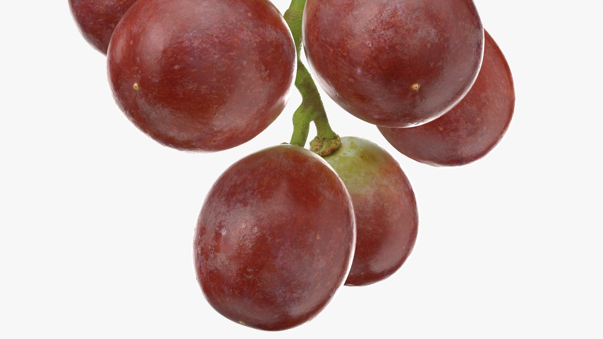 Small Bunch Grapes 2 model https://p.turbosquid.com/ts-thumb/6u/jgKDn8/w9/smbunchgrape2_0010/png/1778577961/1920x1080/fit_q87/fb80bb28ab9af22f7909abfb685fe5ab8fcf2d80/smbunchgrape2_0010.jpg