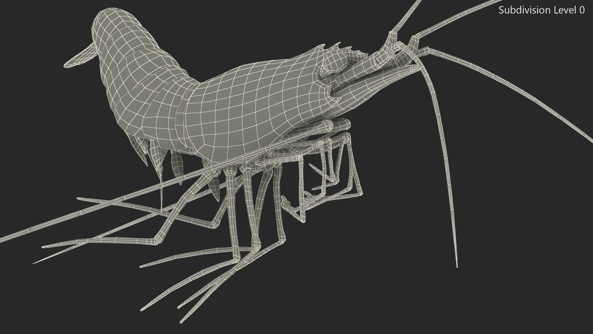 Pacific Cleaner Shrimp Fur model https://p.turbosquid.com/ts-thumb/6u/liVRrU/ew/pacificcleanershrimpfur3dsmodel015/jpg/1655514182/1920x1080/fit_q87/b79e60a0c912595607bbdd54a4a0a77887c5dc10/pacificcleanershrimpfur3dsmodel015.jpg