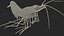 太平洋清洁虾毛皮