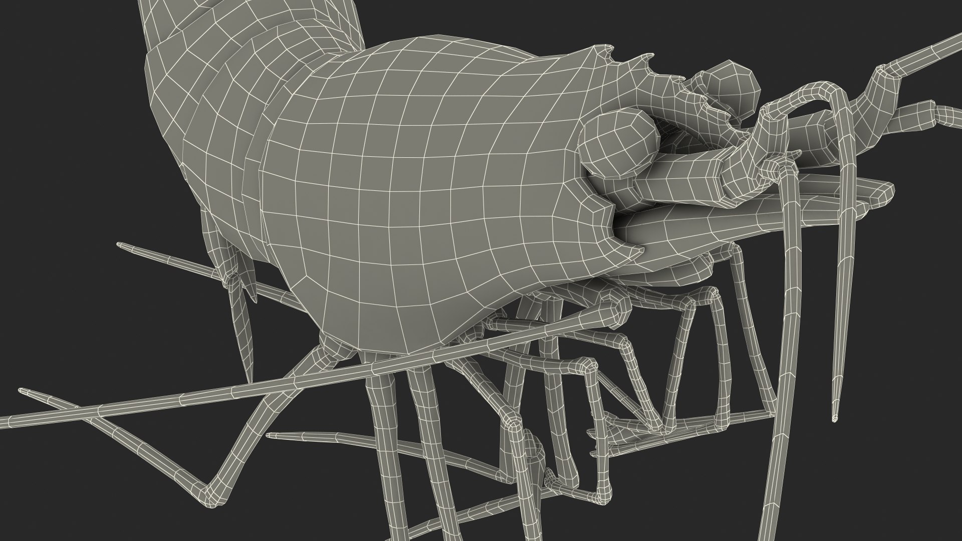 Pacific Cleaner Shrimp Fur model https://p.turbosquid.com/ts-thumb/6u/liVRrU/gA/pacificcleanershrimpfur3dsmodel024/jpg/1655514210/1920x1080/fit_q87/36fa0b7013dd9cd692bddd7f2b76942520e1d084/pacificcleanershrimpfur3dsmodel024.jpg
