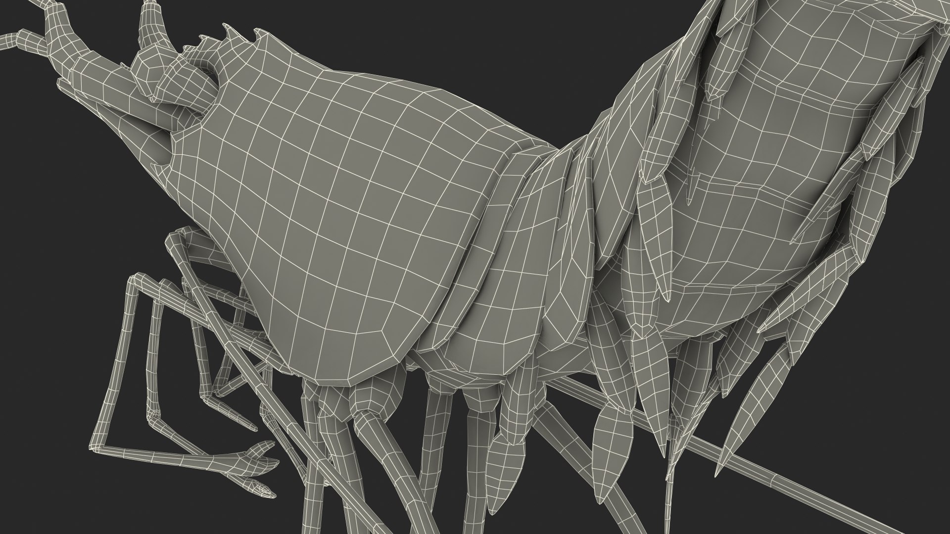 Pacific Cleaner Shrimp Fur model https://p.turbosquid.com/ts-thumb/6u/liVRrU/nO/pacificcleanershrimpfur3dsmodel025/jpg/1655514213/1920x1080/fit_q87/7db2445a703db65f2d03421e6ebc63ec9b5e33dd/pacificcleanershrimpfur3dsmodel025.jpg