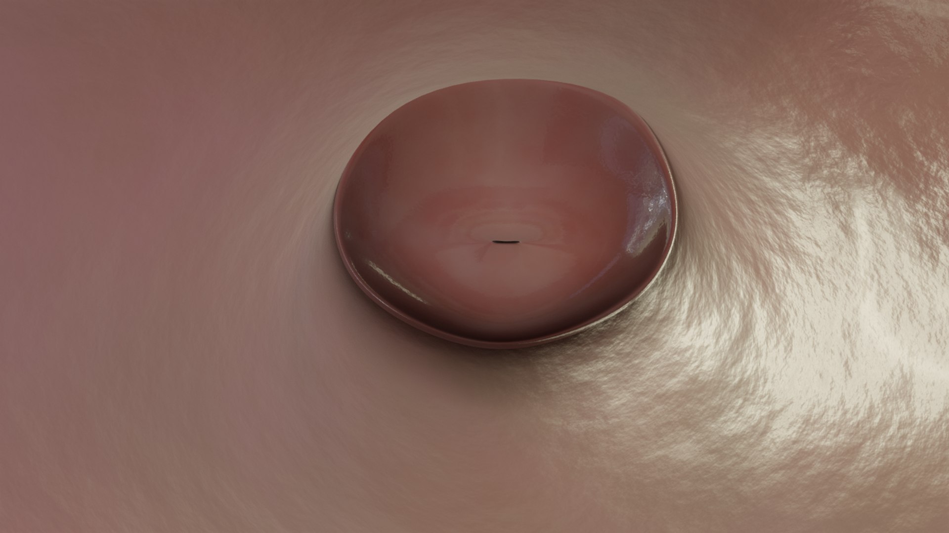 3D female reproductive model https://p.turbosquid.com/ts-thumb/6u/rYdV4E/1L3CPZqq/capturadepantallade20200302201053/png/1586752958/1920x1080/fit_q87/4e0a98364bf41610954e8871ffb2feebe697bf4b/capturadepantallade20200302201053.jpg