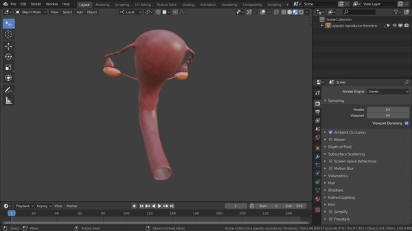 modelo 3d Sistema reproductivo femenino - TurboSquid 1540885