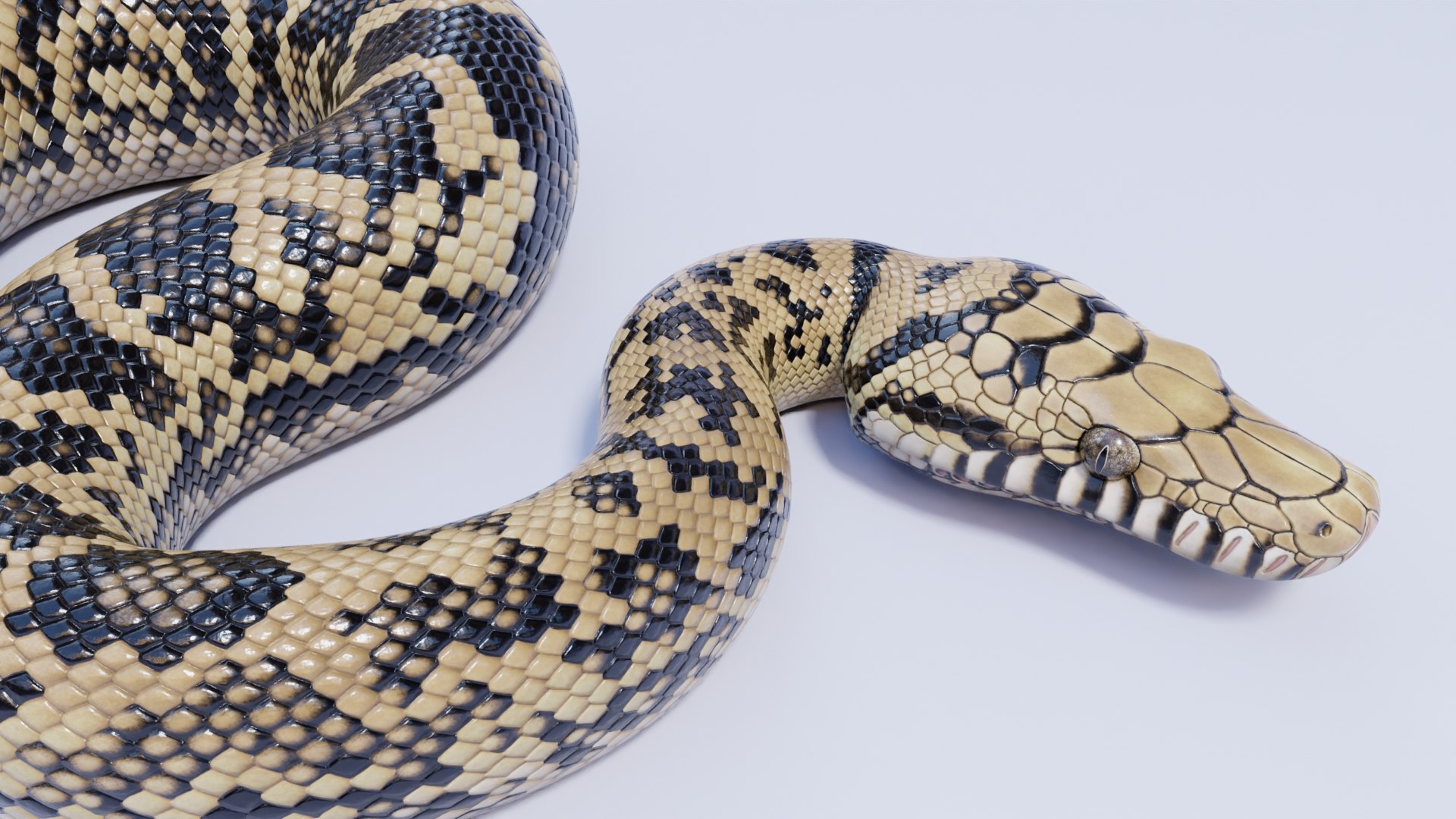 Rigged Scrub Python 3D - TurboSquid 1952296