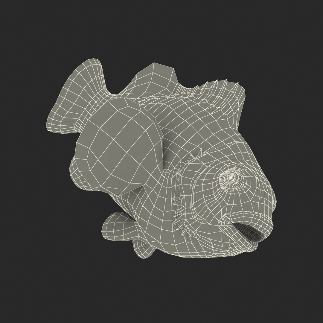 3d clownfish rigged model https://p.turbosquid.com/ts-thumb/6u/zYojOC/6IN5by4j/clownfishriggedmaya3dmodel22/jpg/1479039398/1920x1080/fit_q87/7a0e8474a16d0624159f3d226e2f27dc82d25fb1/clownfishriggedmaya3dmodel22.jpg