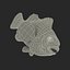 Clownfish Rigged for Maya