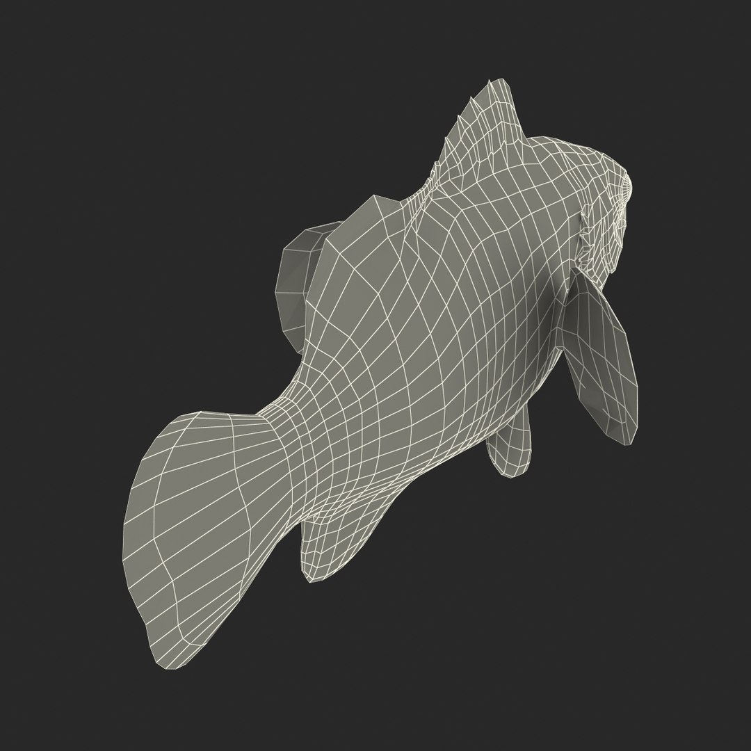 3d clownfish rigged model https://p.turbosquid.com/ts-thumb/6u/zYojOC/EyK17b0j/clownfishriggedmaya3dmodel23/jpg/1479039398/1920x1080/fit_q87/24a646486c6273c26874179125918811163bc0d4/clownfishriggedmaya3dmodel23.jpg