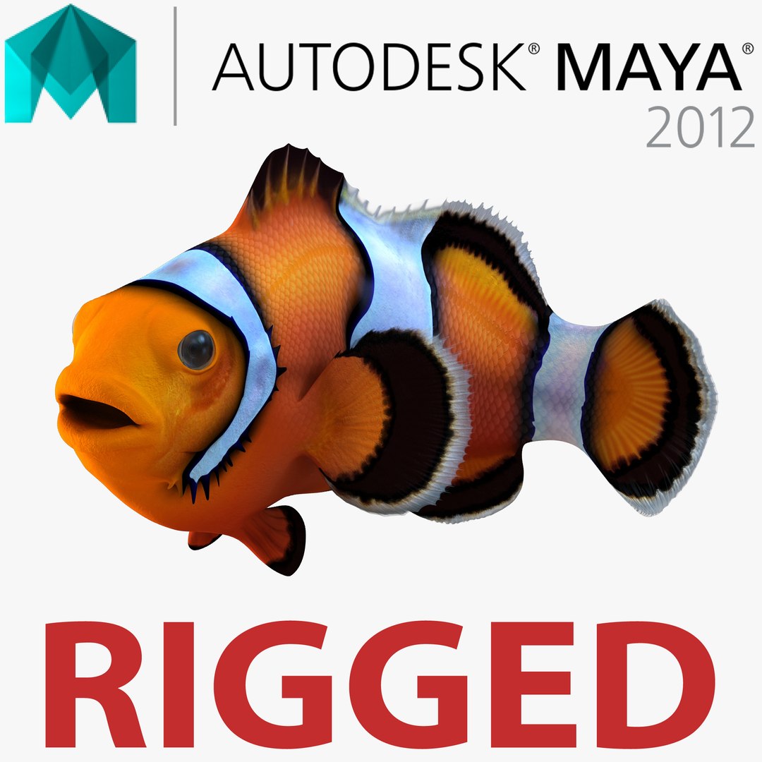 Clownfish Rigged for Maya 3D model preview
