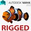 Clownfish Rigged for Maya