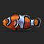 Clownfish Rigged for Maya
