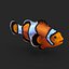 Clownfish Rigged for Maya
