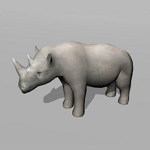 3d rhinoceros rhino
