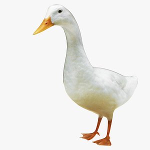 Goose 3D model