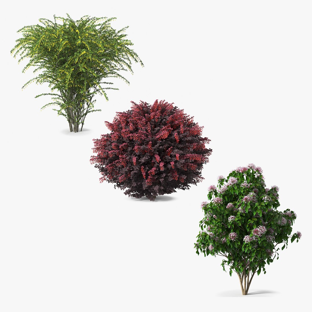 Bushes Collection 2 3D model preview