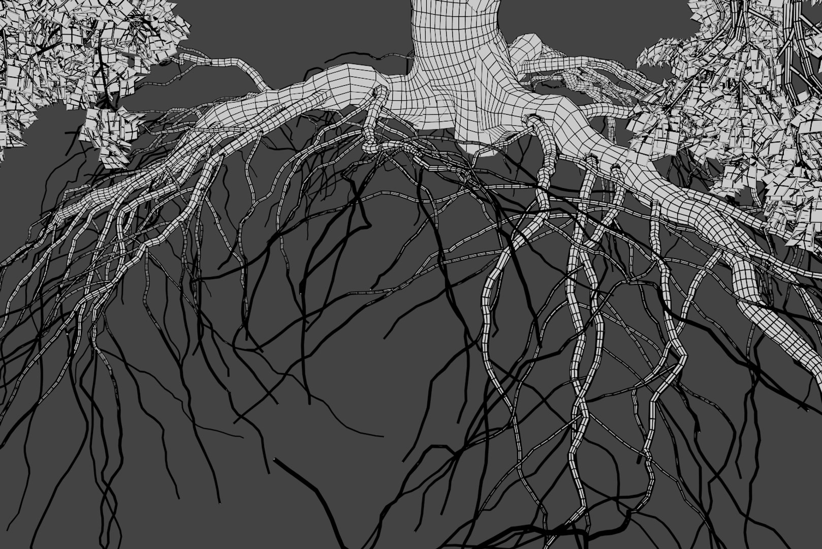 oak summer 5 tree 3D model https://p.turbosquid.com/ts-thumb/6v/fUb1rV/3e9AM5Mr/wire5/png/1550398139/1920x1080/fit_q87/cc7e96fa9a37fa0482ddc3f1c2f5c842df5cd976/wire5.jpg