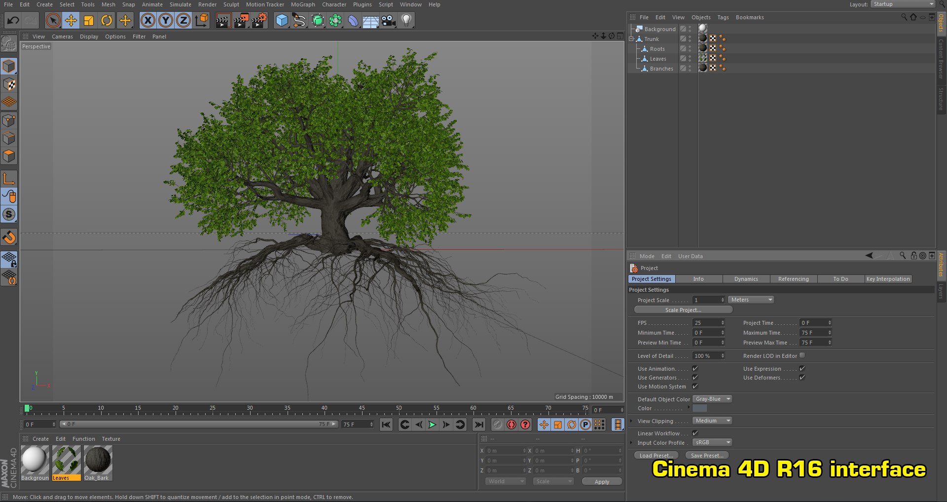 oak summer 5 tree 3D model https://p.turbosquid.com/ts-thumb/6v/fUb1rV/5z2dnK85/screen_c4d/png/1550398138/1920x1080/fit_q87/31c5dba015321f299764f6d81e05aa87c223eb74/screen_c4d.jpg