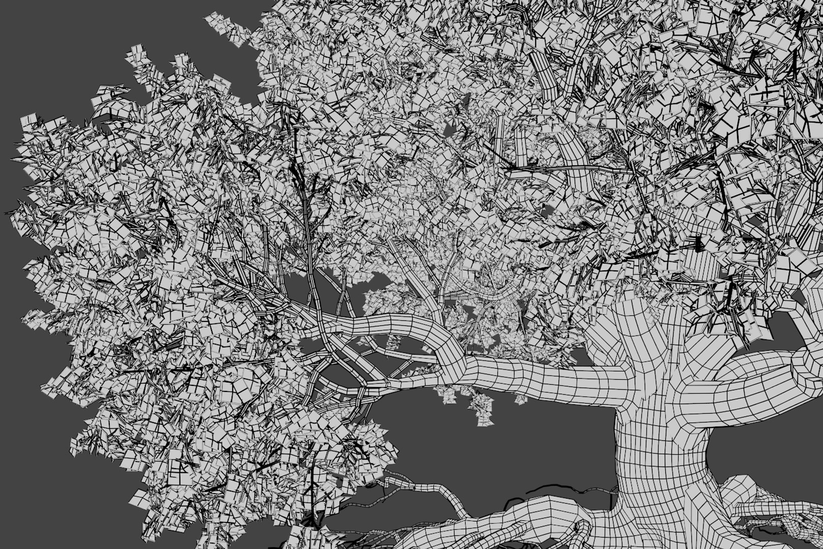 oak summer 5 tree 3D model https://p.turbosquid.com/ts-thumb/6v/fUb1rV/Rhai2Hic/wire7/png/1550398139/1920x1080/fit_q87/4dbab10bf267602624344151d0396e191cbf49a2/wire7.jpg