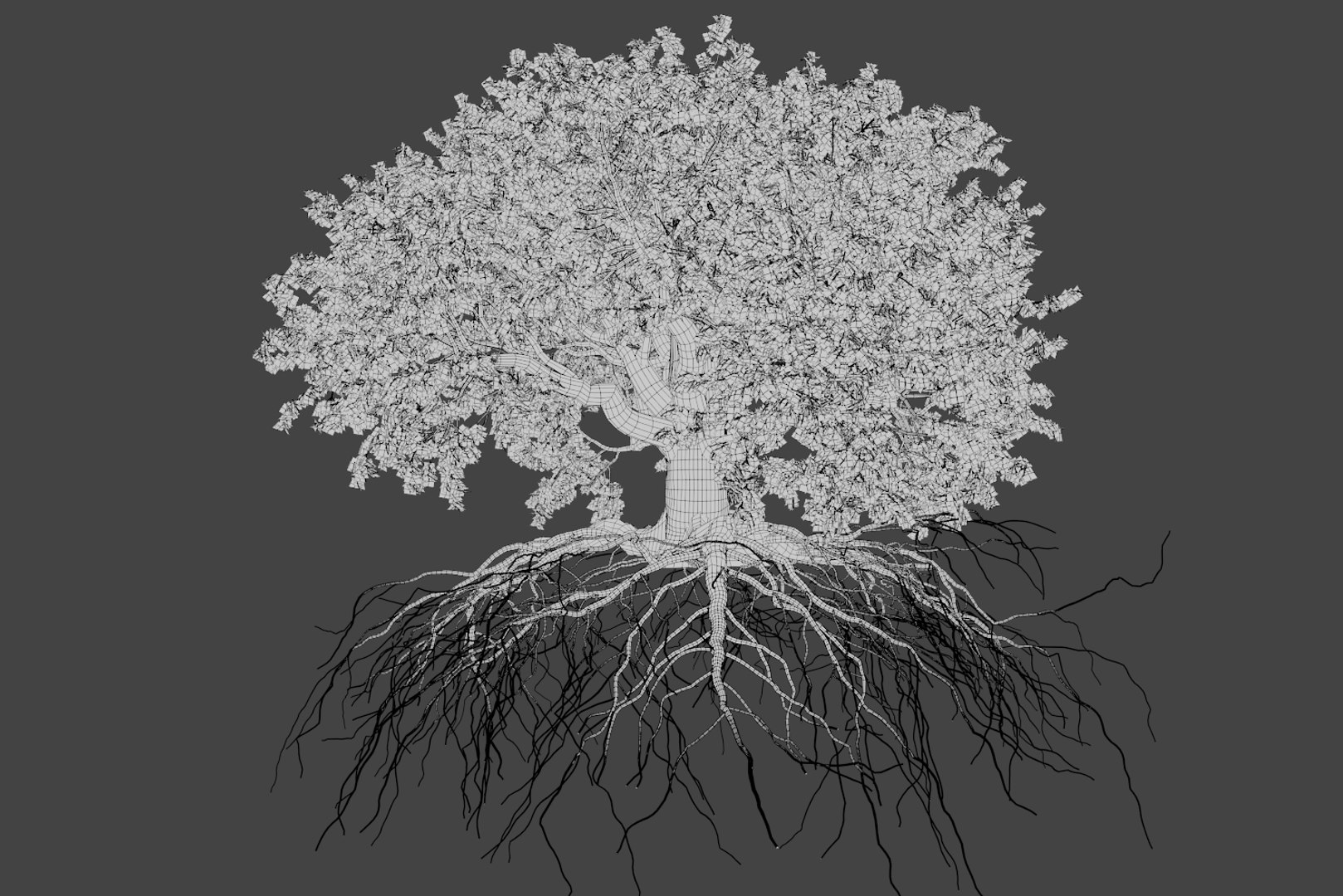 oak summer 5 tree 3D model https://p.turbosquid.com/ts-thumb/6v/fUb1rV/TxSLIrsO/wire2/png/1550398139/1920x1080/fit_q87/9829e0948c42b3a3c7f309e2b1c294e277e70276/wire2.jpg