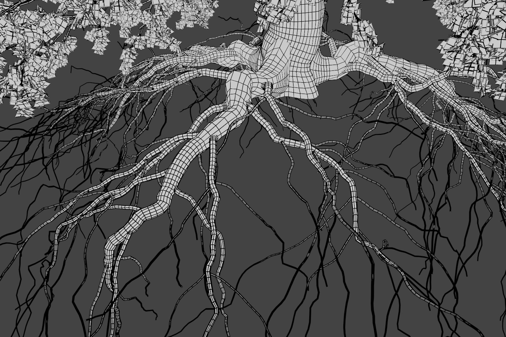 oak summer 5 tree 3D model https://p.turbosquid.com/ts-thumb/6v/fUb1rV/UbybKFpU/wire6/png/1550398139/1920x1080/fit_q87/0039a942b99cab3b3a79a0fa55e4ec66f7f25553/wire6.jpg