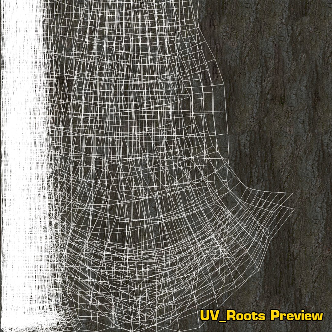 oak summer 5 tree 3D model https://p.turbosquid.com/ts-thumb/6v/fUb1rV/WNwzXYOq/uv_roots/png/1550398138/1920x1080/fit_q87/deeedb0d9896c8f238c7955ad69821ee561466d4/uv_roots.jpg