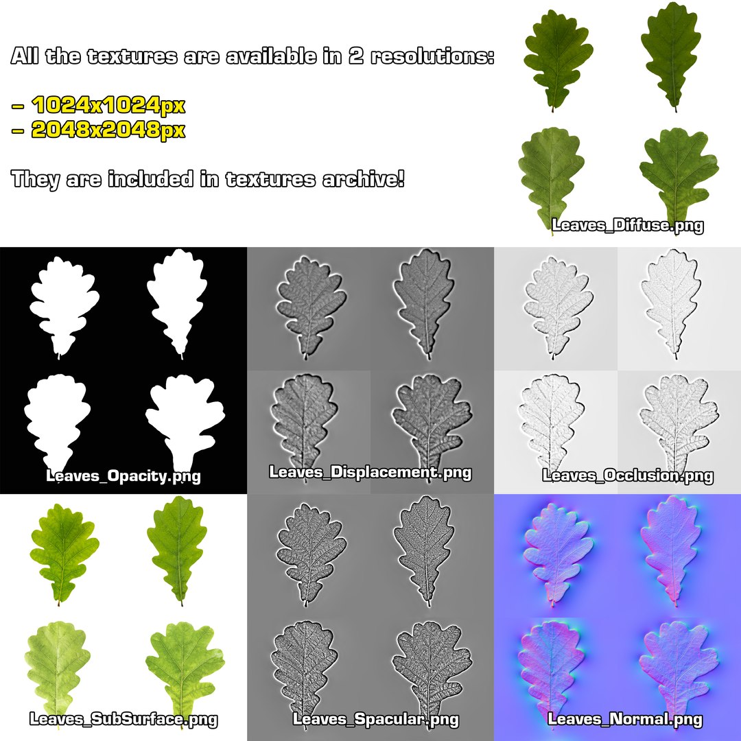 oak summer 5 tree 3D model https://p.turbosquid.com/ts-thumb/6v/fUb1rV/XdBrcLzl/textures_2/png/1550398138/1920x1080/fit_q87/0c9087aaff27ee7b3ad92010a6c161e79565d78f/textures_2.jpg