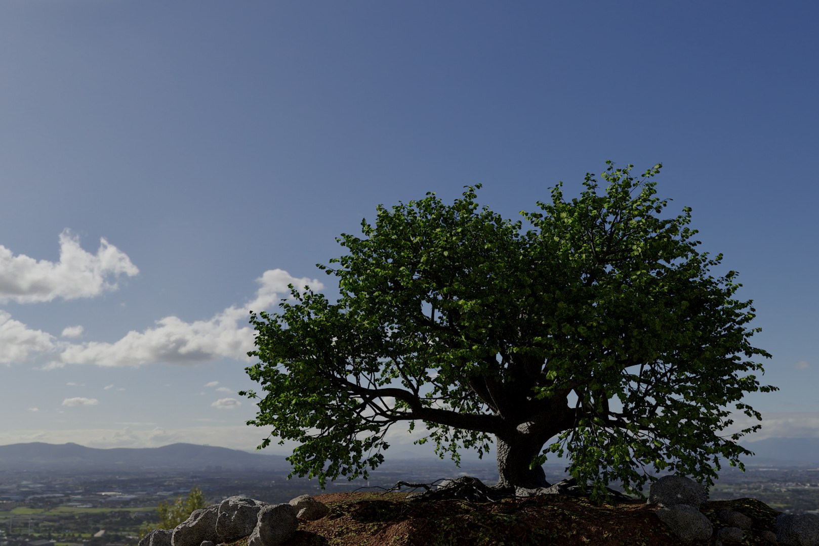 oak summer 5 tree 3D model https://p.turbosquid.com/ts-thumb/6v/fUb1rV/hklK3oDr/render11/png/1550398138/1920x1080/fit_q87/c4a9c29119a550ea335855c9fae0ebd2568a14fd/render11.jpg