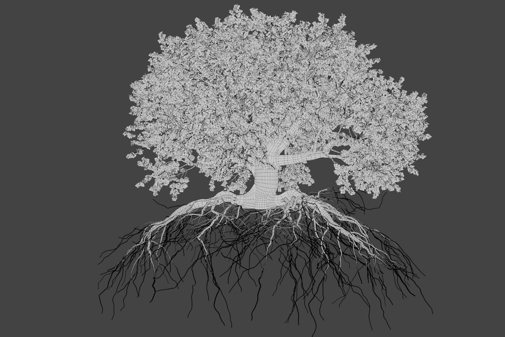 oak summer 5 tree 3D model https://p.turbosquid.com/ts-thumb/6v/fUb1rV/nVRxm0ul/wire3/png/1550398139/1920x1080/fit_q87/febe7c1f50270f5b39014c4353a53dcbd4cc6a80/wire3.jpg