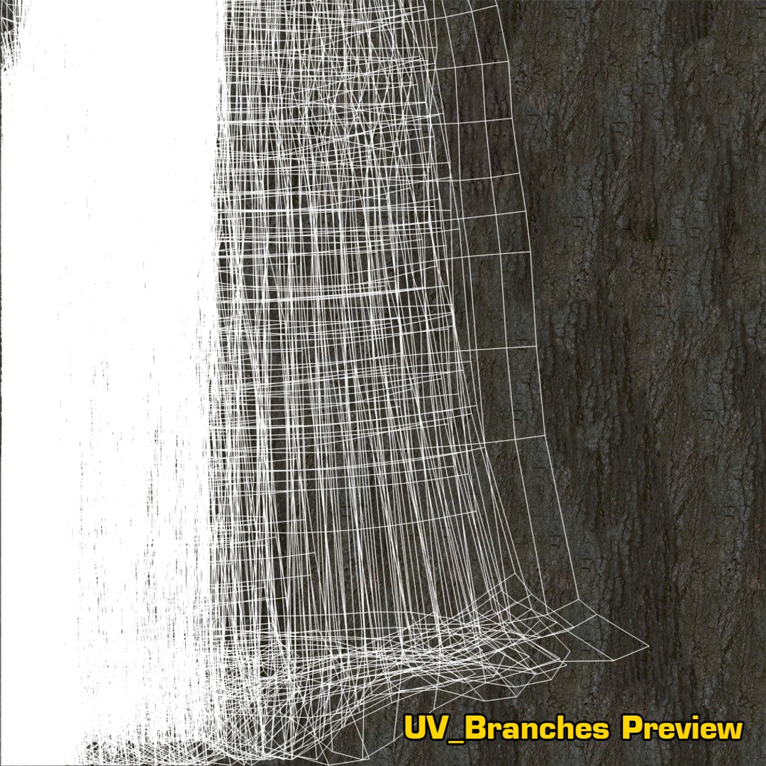 oak summer 5 tree 3D model https://p.turbosquid.com/ts-thumb/6v/fUb1rV/tvO3mXvu/uv_branches/png/1550398138/1920x1080/fit_q87/07efbdb2eeffaab823166a75e2ac48a0d5330739/uv_branches.jpg