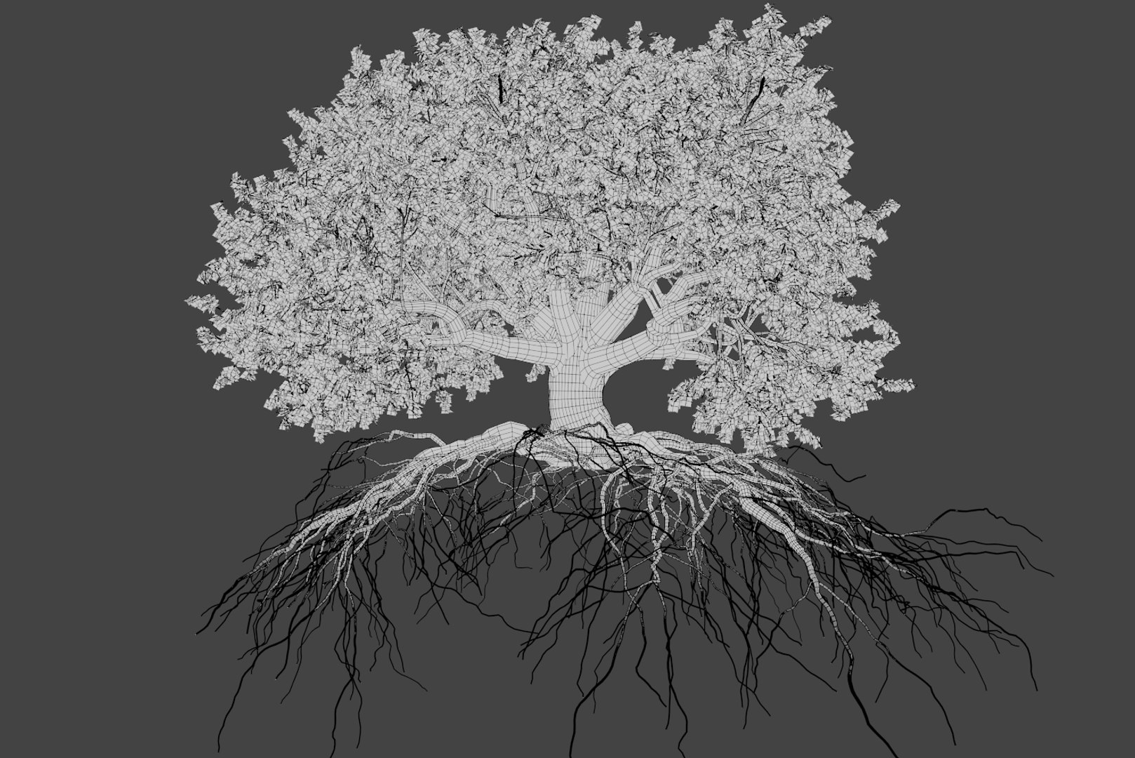 oak summer 5 tree 3D model https://p.turbosquid.com/ts-thumb/6v/fUb1rV/uNUtrvn0/wire1/png/1550398139/1920x1080/fit_q87/49b3a6805da66ad390c4665d0a429b686802aa4a/wire1.jpg