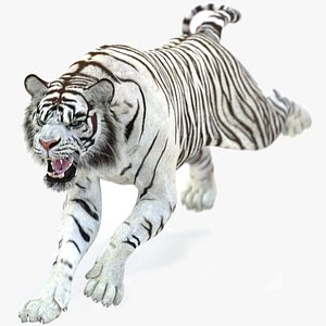white tiger 2 animations 3D