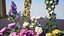 FLowers Pack 3D model