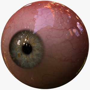 3d realistic human eye pupil