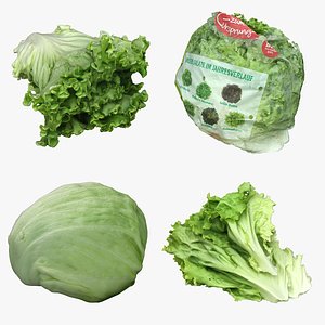 3D model Salad Head Part Collection 08