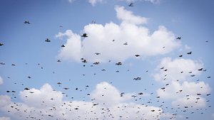 Traffic Spaceships Generator