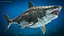 3D model Ancient Megashark Rigged for Modo