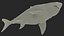 3D model Ancient Megashark Rigged for Modo